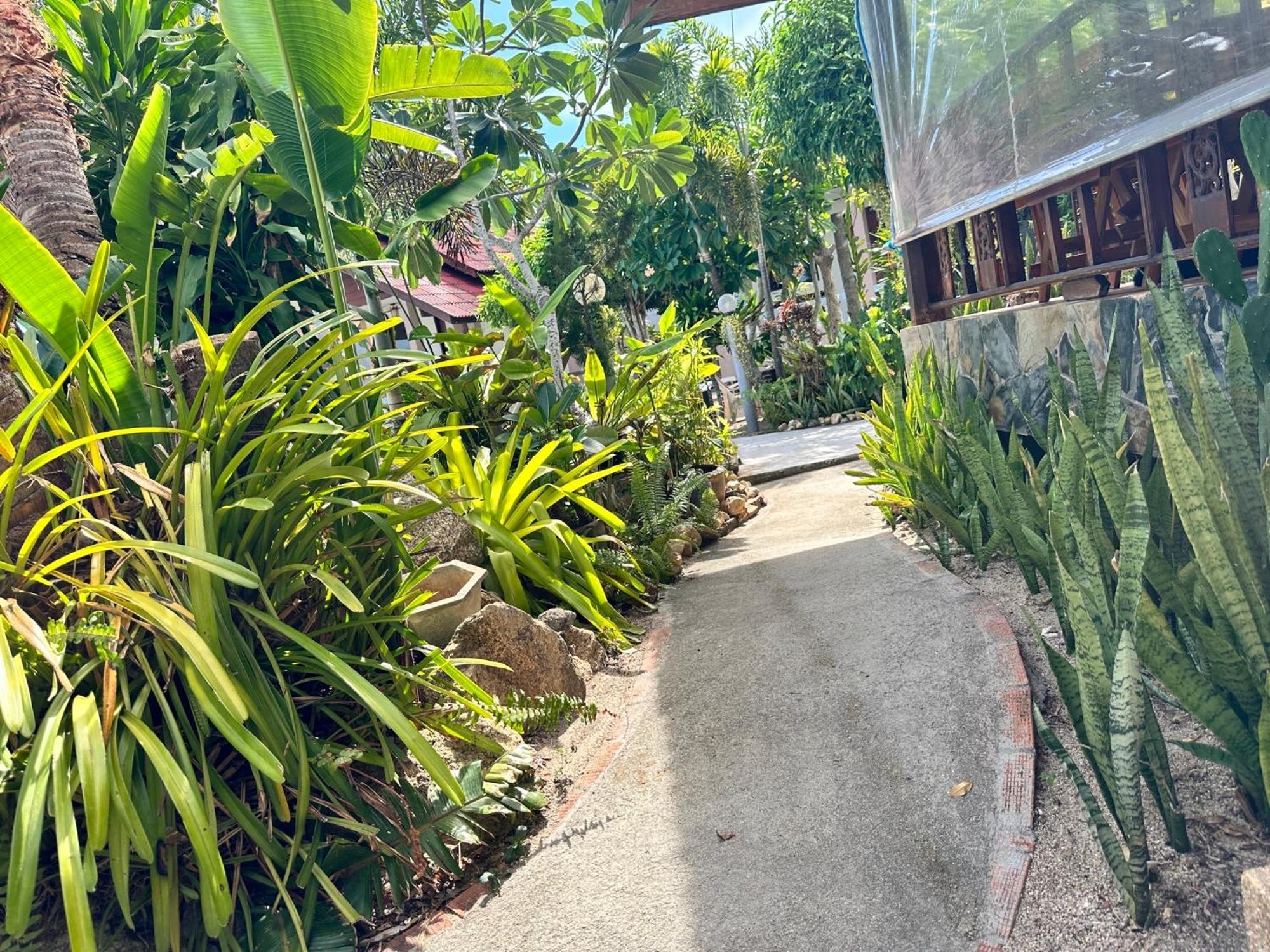 Phangan Lodge Baan Tai Esterno foto